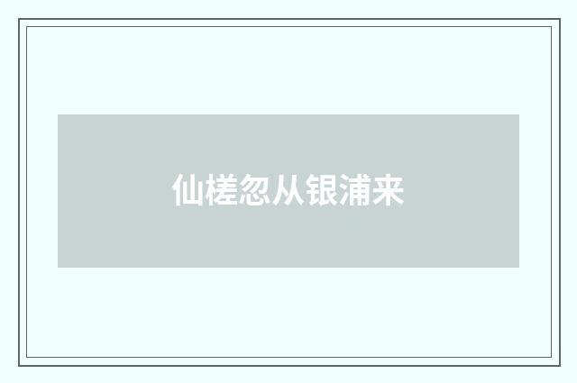 仙槎忽从银浦来