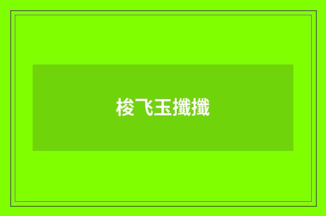 梭飞玉攕攕