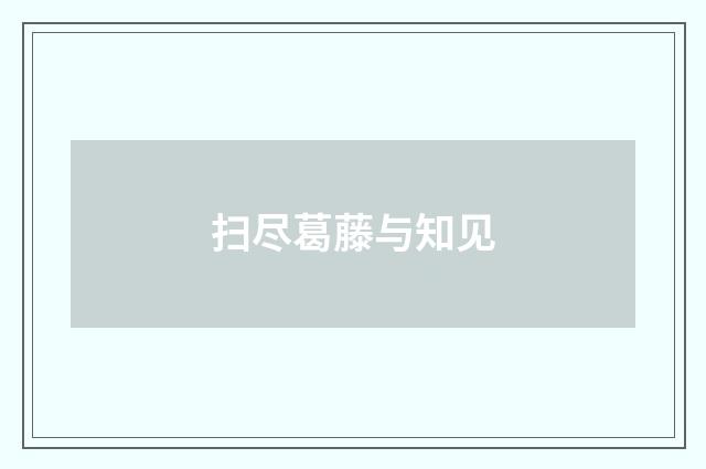 扫尽葛藤与知见