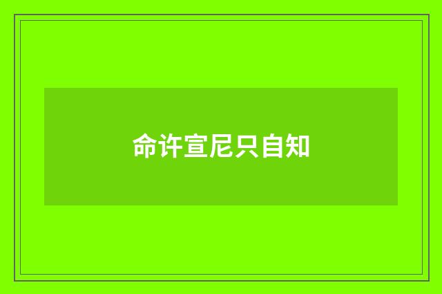 命许宣尼只自知