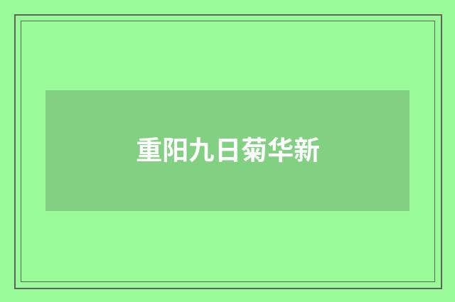 重阳九日菊华新