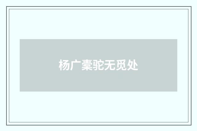 杨广橐驼无觅处