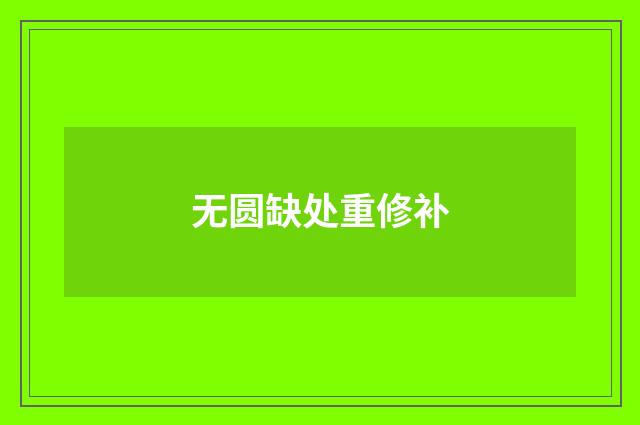 无圆缺处重修补