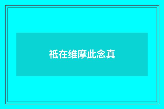 祗在维摩此念真