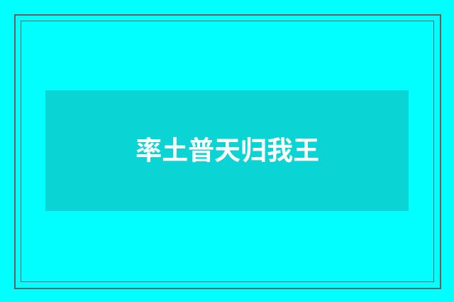 率土普天归我王