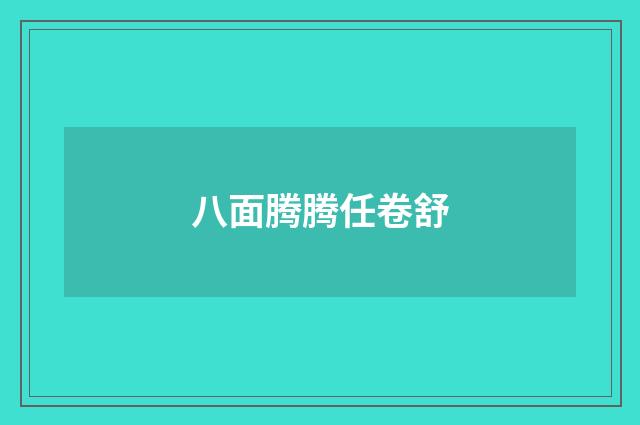 八面腾腾任卷舒