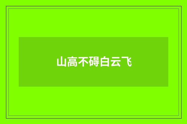 山高不碍白云飞