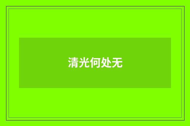 清光何处无