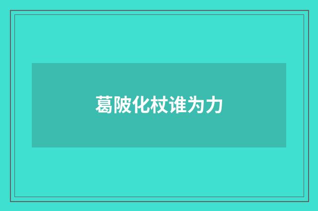 葛陂化杖谁为力