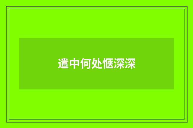 遣中何处惬深深