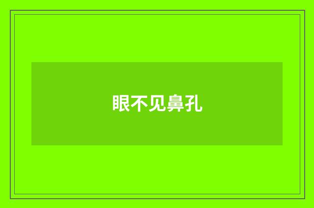 眼不见鼻孔
