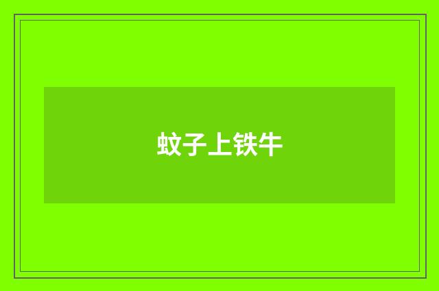 蚊子上铁牛