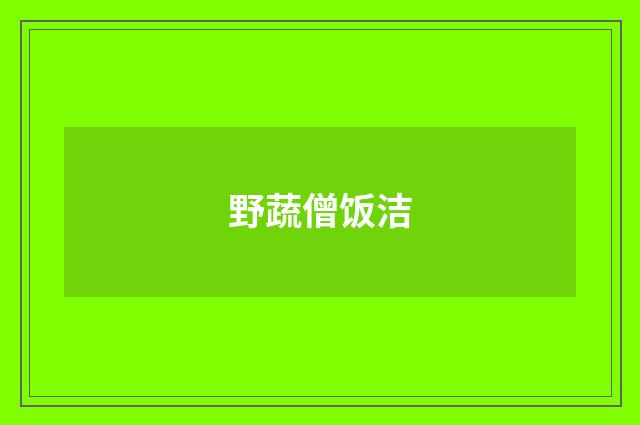 野蔬僧饭洁