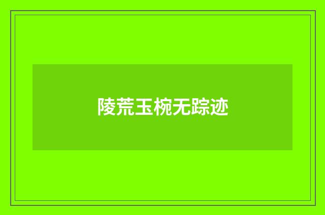 陵荒玉椀无踪迹