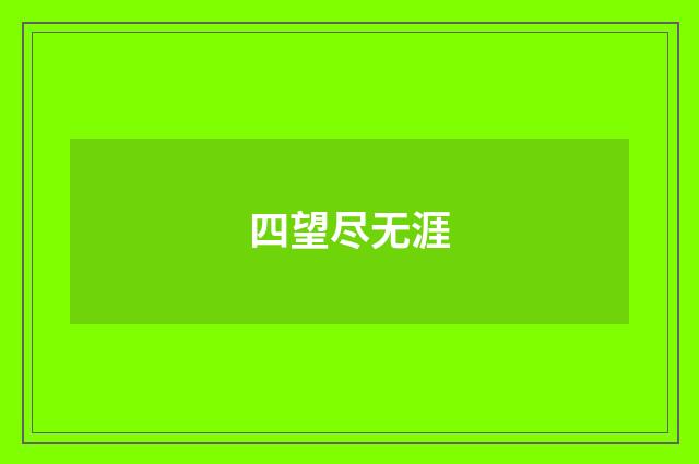 四望尽无涯