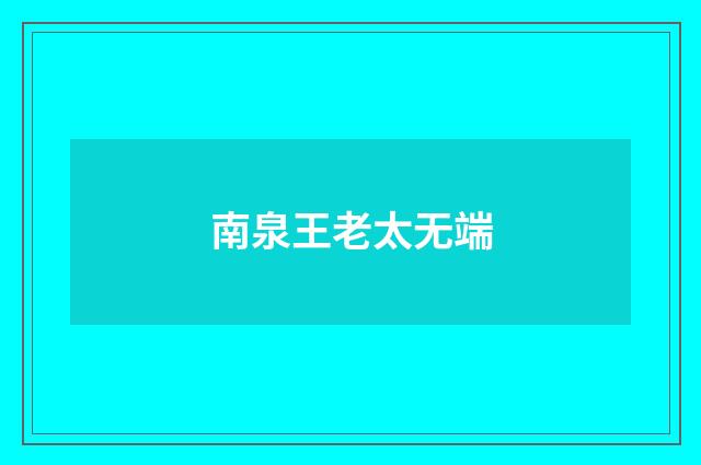 南泉王老太无端