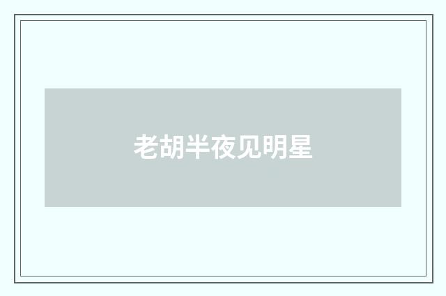 老胡半夜见明星