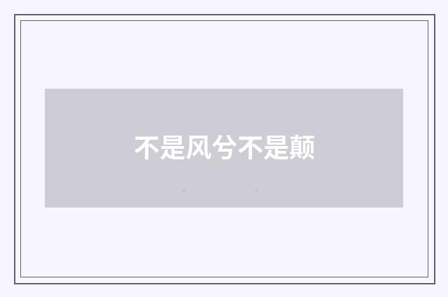 不是风兮不是颠