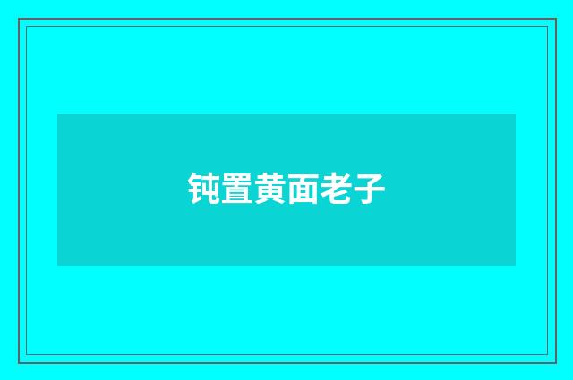 钝置黄面老子