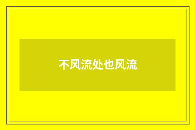 不风流处也风流