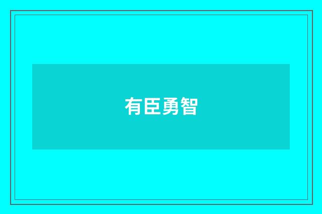 有臣勇智