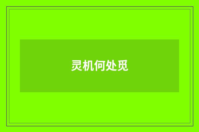 灵机何处觅