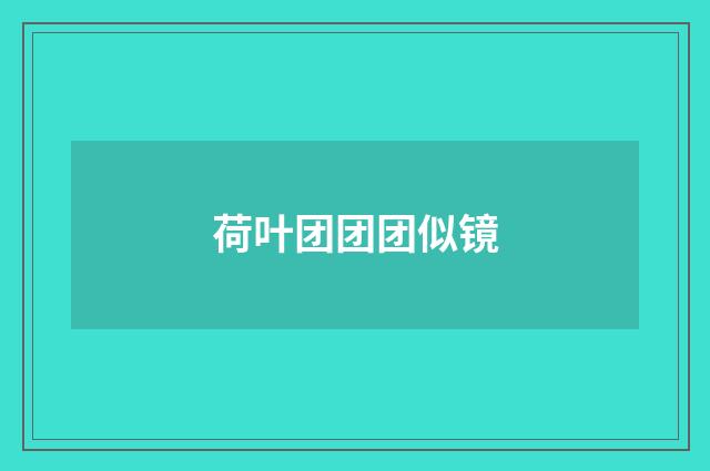荷叶团团团似镜