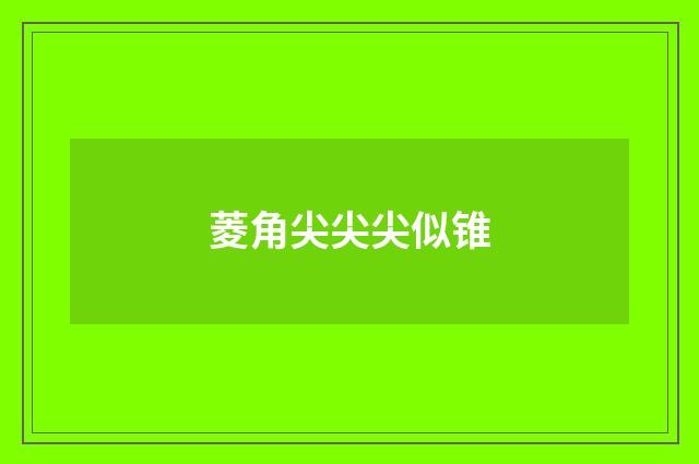 菱角尖尖尖似锥