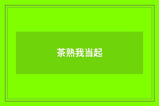 茶熟我当起