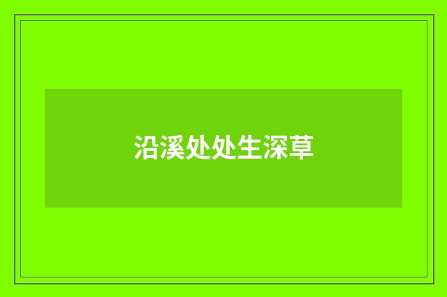 沿溪处处生深草
