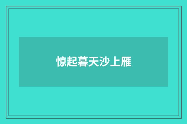 惊起暮天沙上雁