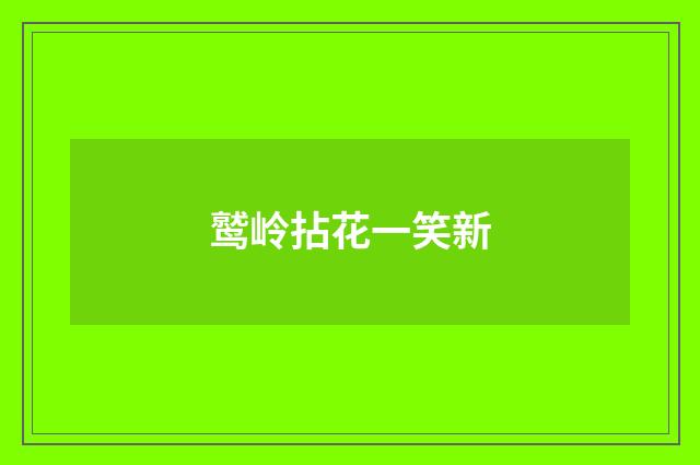 鹫岭拈花一笑新