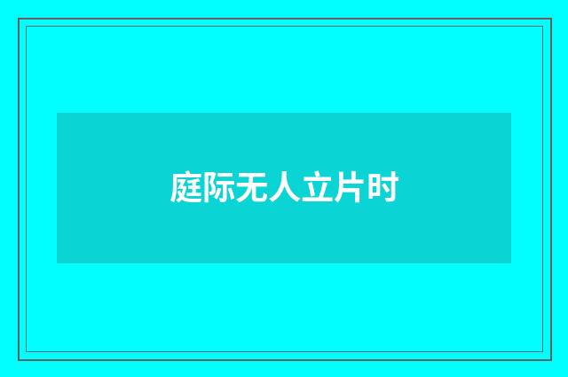 庭际无人立片时