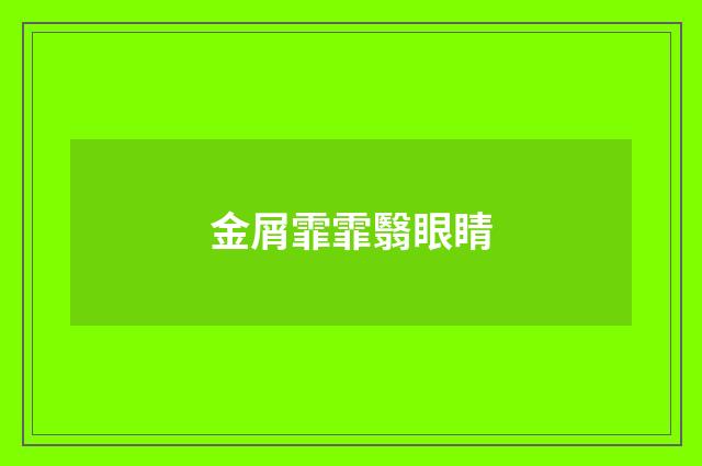 金屑霏霏翳眼睛