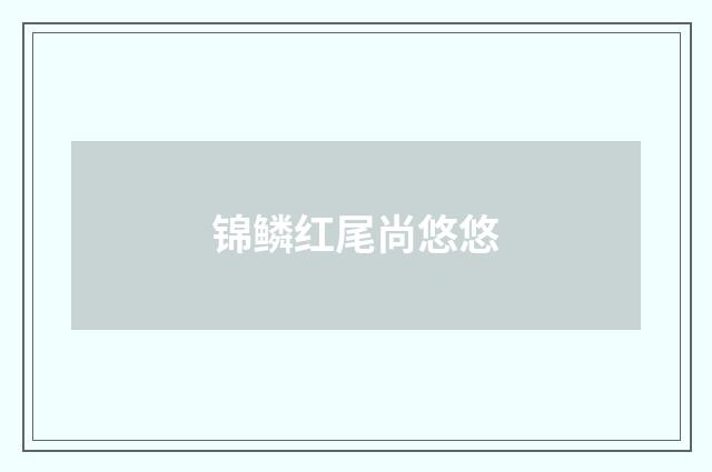 锦鳞红尾尚悠悠