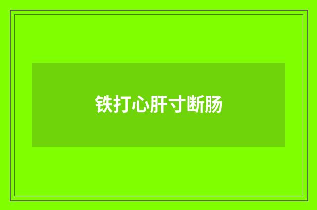 铁打心肝寸断肠