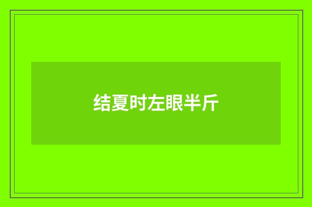 结夏时左眼半斤