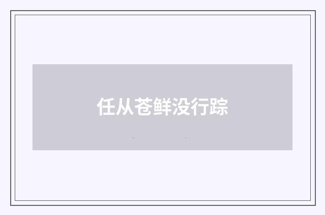 任从苍鲜没行踪