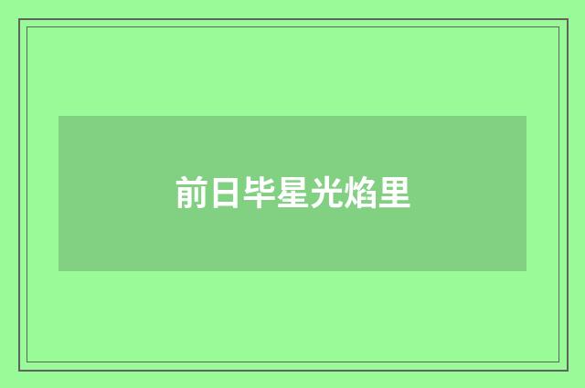 前日毕星光焰里