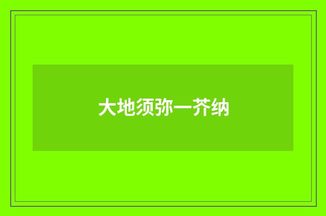 大地须弥一芥纳