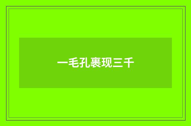 一毛孔裹现三千