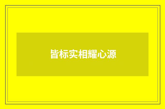 皆标实相耀心源