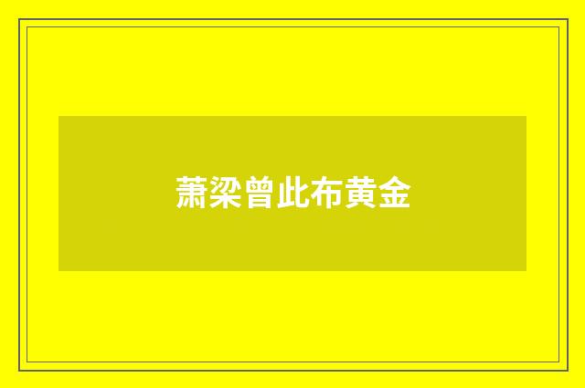 萧梁曾此布黄金