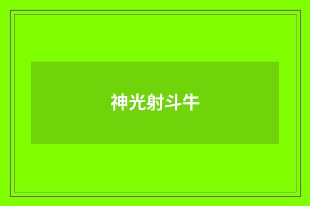 神光射斗牛
