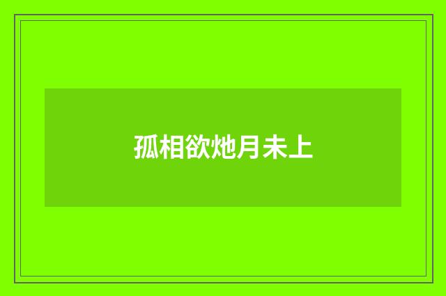 孤相欲灺月未上
