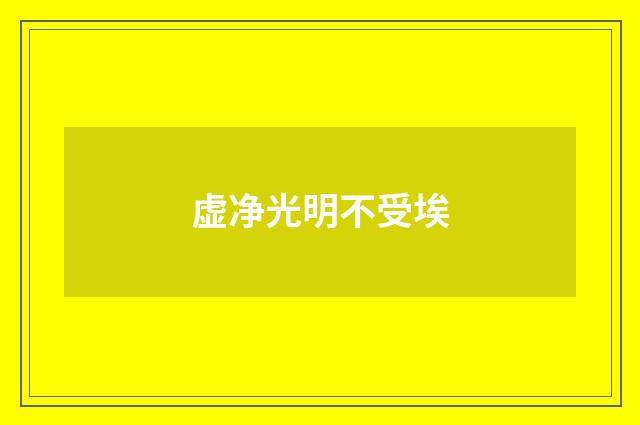 虚净光明不受埃