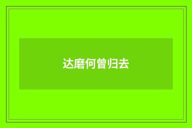 达磨何曾归去