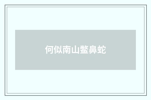 何似南山鳖鼻蛇