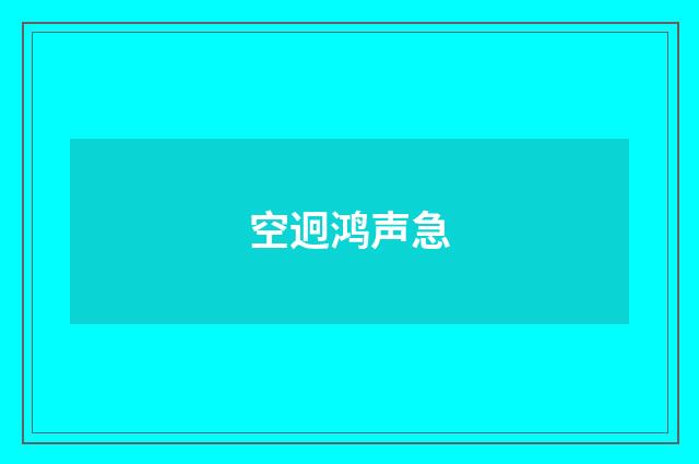 空迥鸿声急