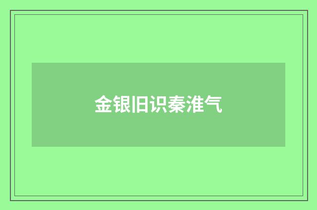 金银旧识秦淮气